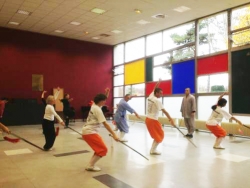 Stage d'épée