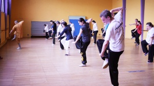 Stage de boxe interne "Jin Gang Quan" avec Maître Shi Heng Jun