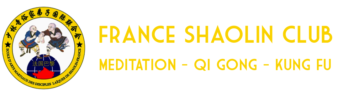 Résultat de recherche d'images pour "france shaolin club logo"