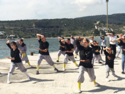 Stage en Grèce avec Maître Shi Heng Jun et Maître Miao Dian en avril 2017