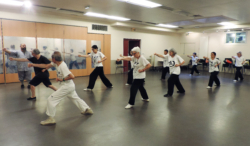 DaTongBiChui1Stage "Da Tong Bi Chui" avec Shi Miao Dian