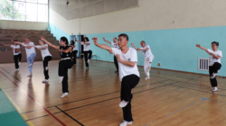 Stage de Kungfu "Hei Hu Quan" (forme du tigre noir), avec Shi Miao Dian