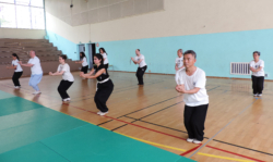 Stage de Kungfu "Hei Hu Quan" (forme du tigre noir), avec Shi Miao Dian