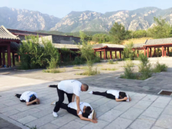 Stage de Qigong et de Bien-Etre, au Song Shan Scenic Area avec Maître Shi Heng Jun