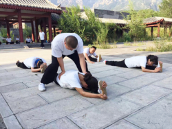 Stage de Qigong et de Bien-Etre, au Song Shan Scenic Area avec Maître Shi Heng Jun