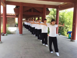 Stage de Qigong et de Bien-Etre, au Song Shan Scenic Area avec Maître Shi Heng Jun