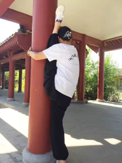 Stage de Qigong et de Bien-Etre, au Song Shan Scenic Area avec Maître Shi Heng Jun