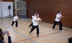 Démonstration de boxe interne