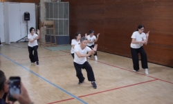 Démonstration de boxe interne