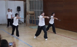 Démonstration d'épée (kung fu)