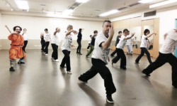 Cours de boxe interne avec Shi Miao Dian