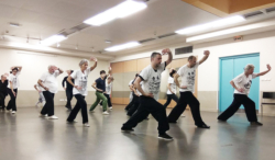 Cours de boxe interne avec Shi Miao Dian