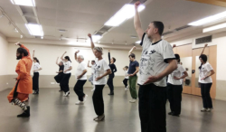 Cours de boxe interne avec Shi Miao Dian