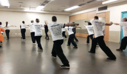 Cours de boxe interne avec Shi Miao Dian