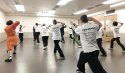 Cours de boxe interne avec Shi Miao Dian