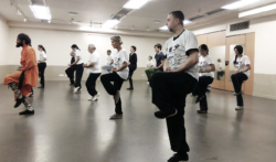 Cours de boxe interne avec Shi Miao Dian