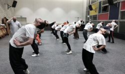 Cours de Kung Fu externe avec Shi Miao Dian