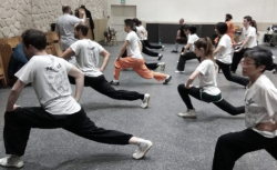Cours de Kung Fu externe avec Shi Miao Dian