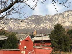 L'école d'arts martiaux du Temple Fa Wang