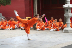 L'école d'arts martiaux du Temple Fa Wang