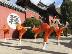 L'école d'arts martiaux du Temple Fa Wang