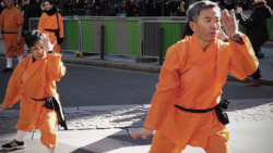 Kung Fu interne "Jin Gang Quan"