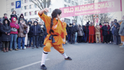Kung Fu méthode traditionnelle "Da Tong Bi Chui"
