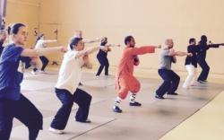 Stage animaux "Shaolin Wu Xing Zhong He Quan" avec Maître Shi Miao Dian