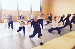 Stage animaux "Shaolin Wu Xing Zhong He Quan" avec Maître Shi Miao Dian