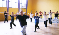 Stage "Shaolin Luo Han Shi Ba Shou" avec Maître Shi Miao Dian