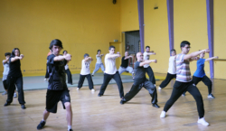 Stage "Shaolin Luo Han Shi Ba Shou" avec Maître Shi Miao Dian