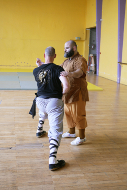 Stage "Shaolin Luo Han Shi Ba Shou" avec Maître Shi Miao Dian