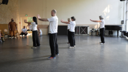 Démonstration du cours de Qi Gong par les élèves