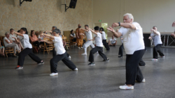 Démonstration du cours de Boxe interne par les élèves