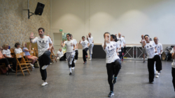 Démonstration du cours de Kung Fu externe par les élèves