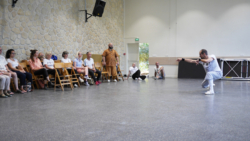 Démonstration du cours de Kung Fu externe par les élèves