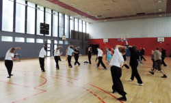 Stage de Qi Gong "5 animaux" à Lille