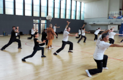 Stage de Kung Fu "5 animaux" à Lille