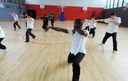 Stage de Kung Fu "5 animaux" à Lille