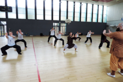 Stage de Kung Fu "5 animaux" à Lille