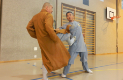 Stage de Kung Fu à Vevey, en Suisse, avec Maître Shi Heng Jun
