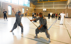 Stage de Kung Fu à Vevey, en Suisse, avec Maître Shi Heng Jun