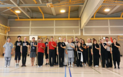 Stage de Kung Fu à Vevey, en Suisse, avec Maître Shi Heng Jun