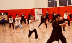 Stage de Kung Fu Shaolin "Taizu Chang Quan" à Paris, avec Maître Shi Miao Dian