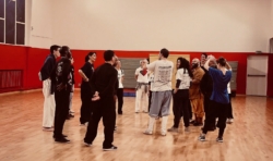 Stage de Kung Fu Shaolin "Taizu Chang Quan" à Paris, avec Maître Shi Miao Dian