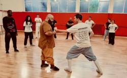 Stage de Kung Fu Shaolin "Taizu Chang Quan" à Paris, avec Maître Shi Miao Dian