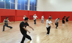 Stage de Kung Fu Shaolin "Jin Gang Xiao Pao Chui" avec Maître Shi Miao Dian